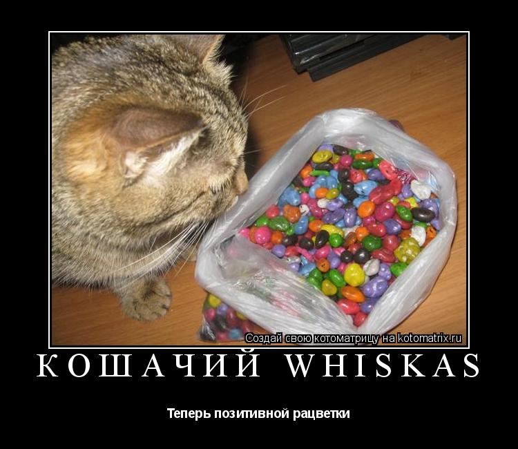 Кошачий Whiskas Теперь позитивной рацветки... Котоматрица: Кошачий Whiskas Теперь позитивной рацветки