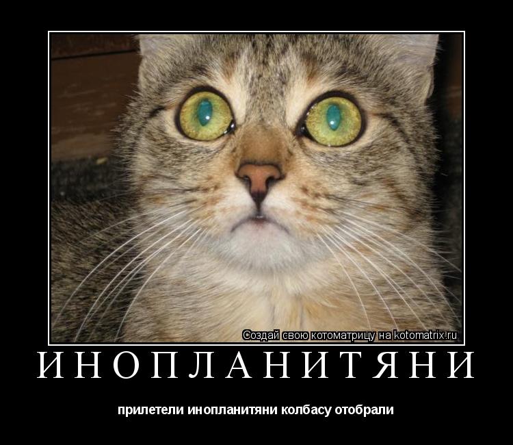 Котоматрица: инопланитяни прилетели инопланитяни колбасу отобрали