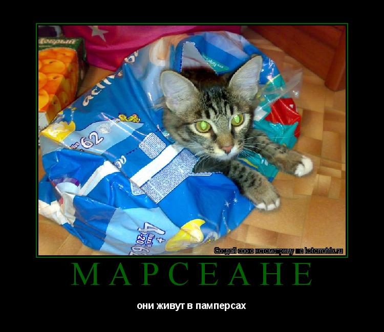 марсеане они живут в памперсах... Котоматрица: марсеане они живут в памперсах