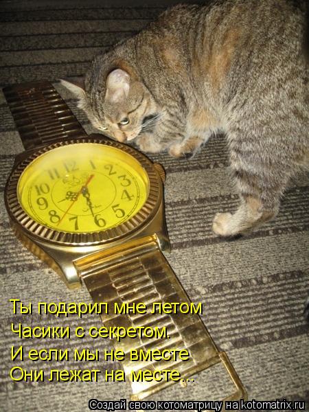 Ты подарил мне летом Часики с секретом. И если мы не вместе Они лежат на месте...... Котоматрица: Ты подарил мне летом Часики с секретом. И если мы не вместе Они лежат на месте...