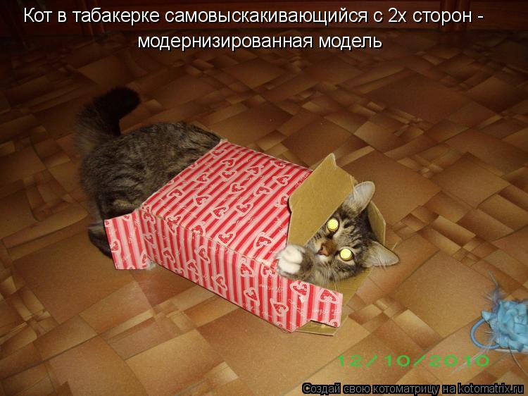 Кот в табакерке самовыскакивающийся с 2х сторон - модернизированная модель... Котоматрица: Кот в табакерке самовыскакивающийся с 2х сторон - модернизированная модель
