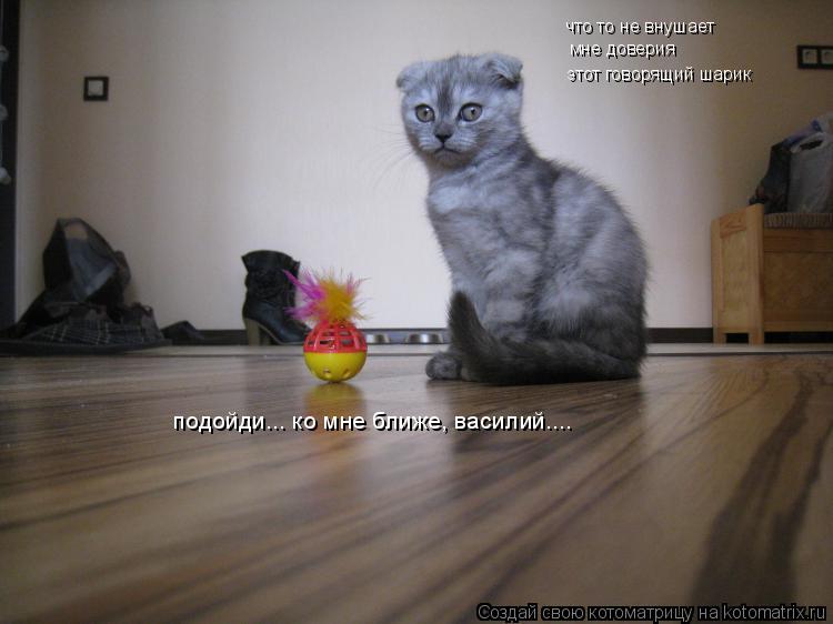 подойди... ко мне ближе, василий.... что то не внушает мне доверия этот говорящий шарик... Котоматрица: подойди... ко мне ближе, василий.... что то не внушает мне доверия этот говорящий шарик