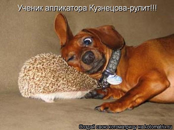 Ученик апликатора Кузнецова-рулит!!!... Котоматрица: Ученик апликатора Кузнецова-рулит!!!