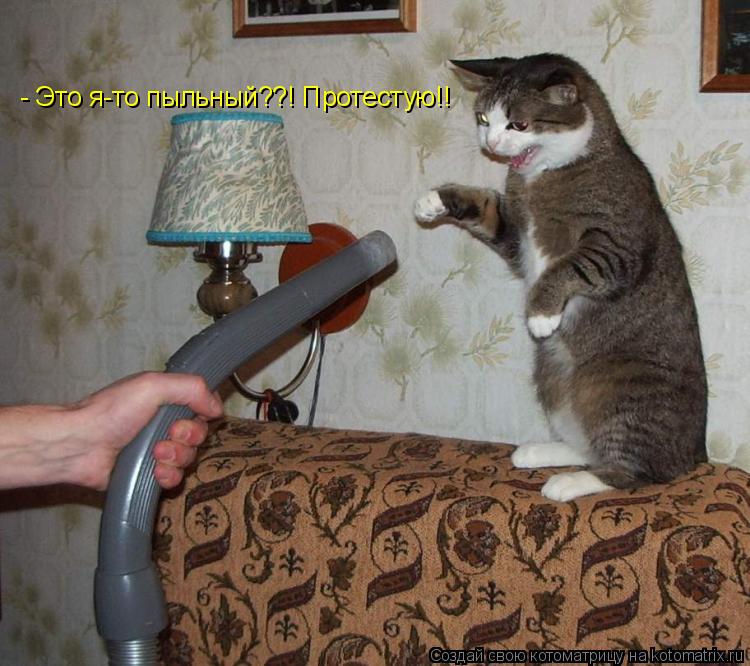 - Это я-то пыльный??! Протестую!!... Котоматрица: - Это я-то пыльный??! Протестую!!