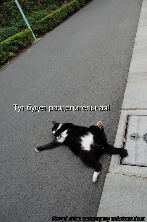Тут будет разделительная!... Котоматрица: Тут будет разделительная!