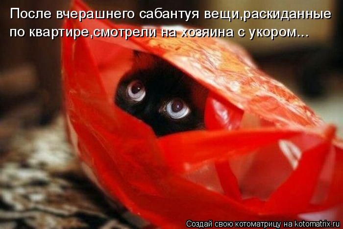 Котоматрица: После вчерашнего сабантуя вещи,раскиданные по квартире,смотрели на хозяина с укором...