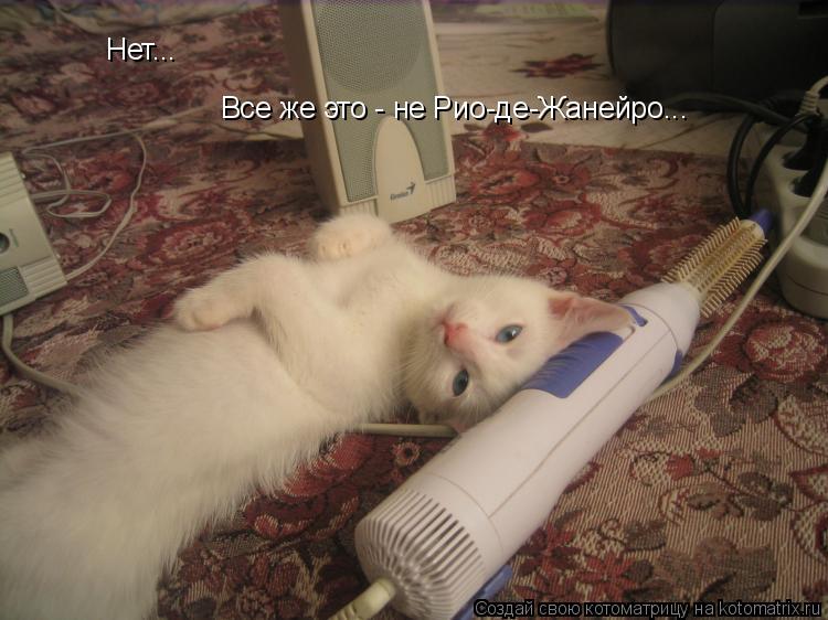 Нет... Все же это - не Рио-де-Жанейро...... Котоматрица: Нет... Все же это - не Рио-де-Жанейро...