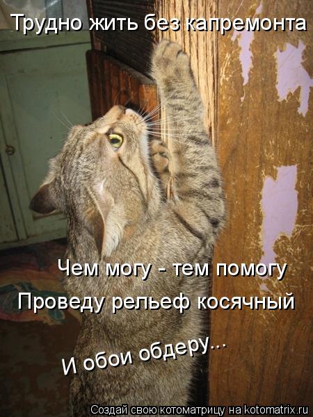 Котоматрица: Трудно жить без капремонта Чем могу - тем помогу Проведу рельеф косячный И обои обдеру...