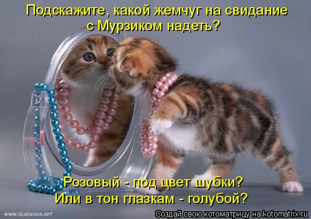 Подскажите, какой жемчуг на свидание с Мурзиком надеть? Розовый - под цвет шубки? Или в тон глазкам -... Котоматрица: Подскажите, какой жемчуг на свидание с Мурзиком надеть? Розовый - под цвет шубки? Или в тон глазкам - голубой?