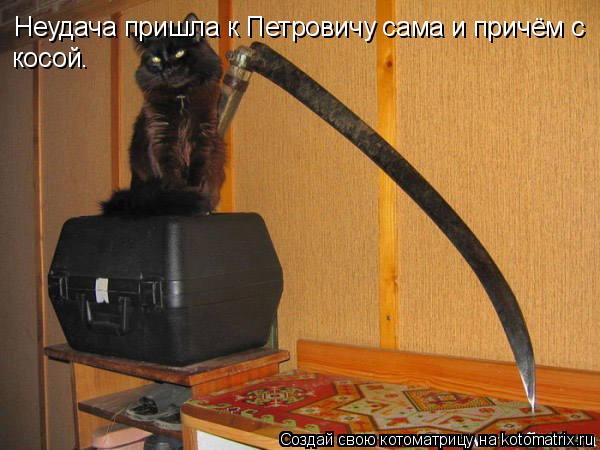 Неудача пришла к Петровичу сама и причём с косой.... Котоматрица: Неудача пришла к Петровичу сама и причём с косой.