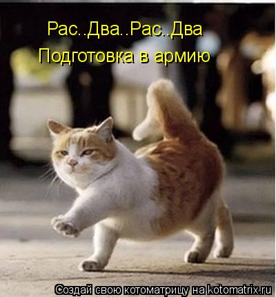 Рас..Два..Рас..Два Подготовка в армию... Котоматрица: Рас..Два..Рас..Два Подготовка в армию