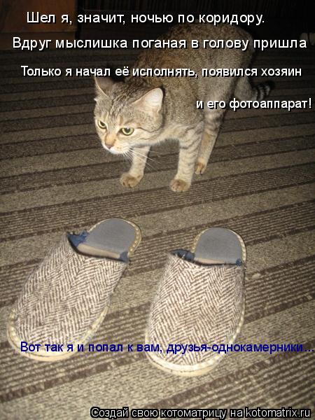 Шел я, значит, ночью по коридору. Вдруг мыслишка поганая в голову пришла Только я начал её исполнять,... Котоматрица: Шел я, значит, ночью по коридору. Вдруг мыслишка поганая в голову пришла Только я начал её исполнять, появился хозяин и его фотоаппарат! Вот