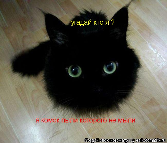 угадай кто я ? я комок пыли которого не мыли... Котоматрица: угадай кто я ? я комок пыли которого не мыли