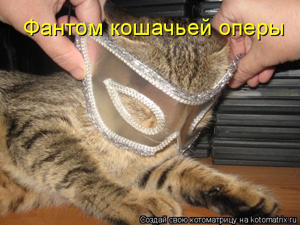 Котоматрица: Фантом кошачьей оперы