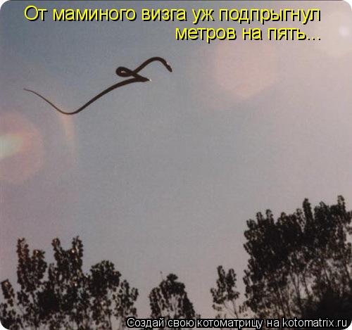 Котоматрица: От маминого визга уж подпрыгнул  метров на пять...