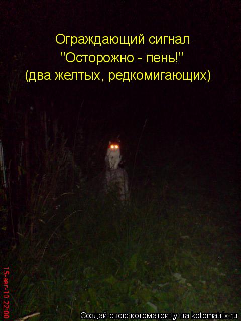 Ограждающий сигнал "Осторожно - пень!" (два желтых, редкомигающих)... Котоматрица: Ограждающий сигнал "Осторожно - пень!" (два желтых, редкомигающих)