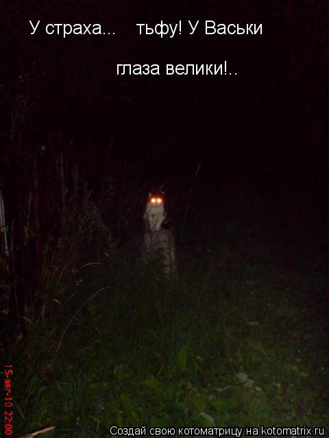 Котоматрица: У страха...  тьфу! У Васьки глаза велики!..
