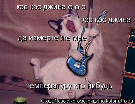 Котоматрица: кэс кэс джина о о о кэс кэс джина о о о кэс кэс джина да измерте же мне  температуру кто нибудь