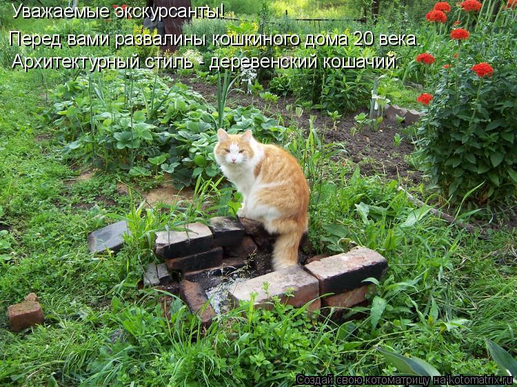 Котоматрица: Уважаемые экскурсанты! Перед вами развалины кошкиного дома 20 века. Архитектурный стиль - деревенский кошачий.