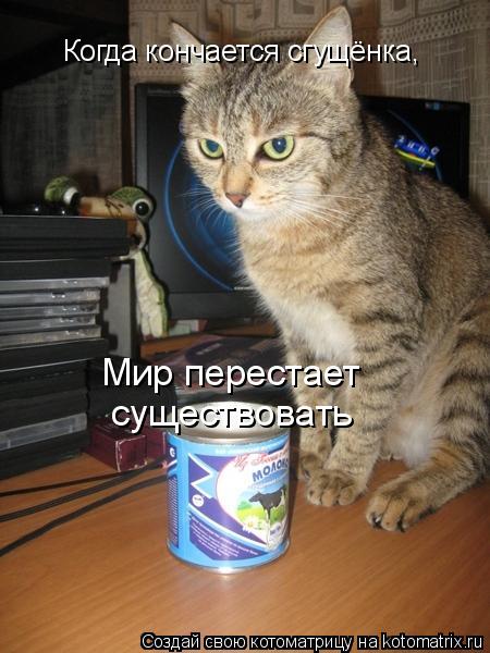 Котоматрица: Когда кончается сгущёнка, Мир перестает существовать