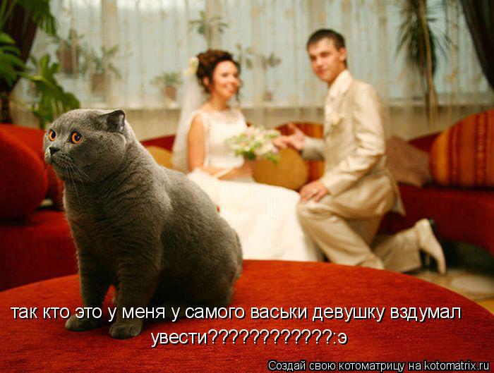 так кто это у меня у самого васьки девушку вздумал увести????????????:э... Котоматрица: так кто это у меня у самого васьки девушку вздумал увести????????????:э