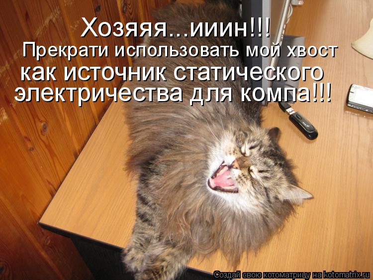 Хозяяя...ииин!!! Прекрати использовать мой хвост электричества для компа!!! как источник статического... Котоматрица: Хозяяя...ииин!!! Прекрати использовать мой хвост электричества для компа!!! как источник статического