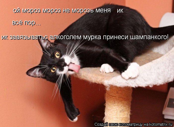 ой мороз мороз не морозь меня ик всё пор ... ик завязыватьс алкоголем мурка принеси шампанкого!... Котоматрица: ой мороз мороз не морозь меня ик всё пор ... ик завязыватьс алкоголем мурка принеси шампанкого!