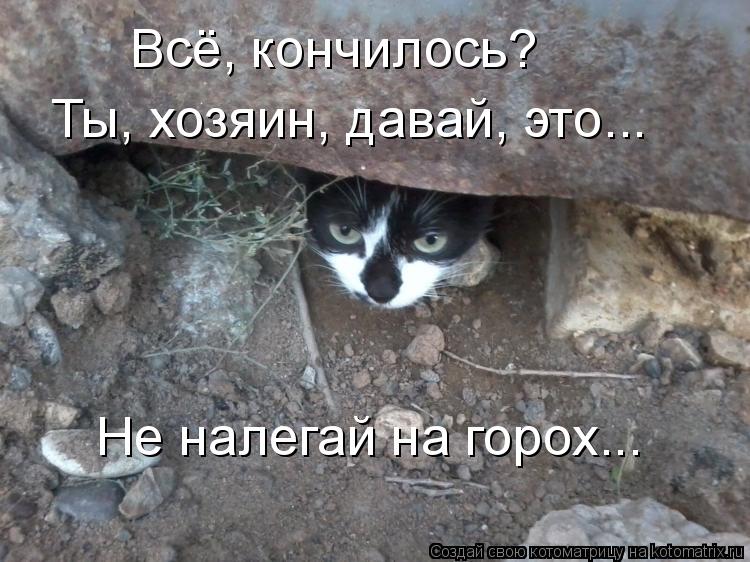 Всё, кончилось? Ты, хозяин, давай, это... Не налегай на горох...... Котоматрица: Всё, кончилось? Ты, хозяин, давай, это... Не налегай на горох...