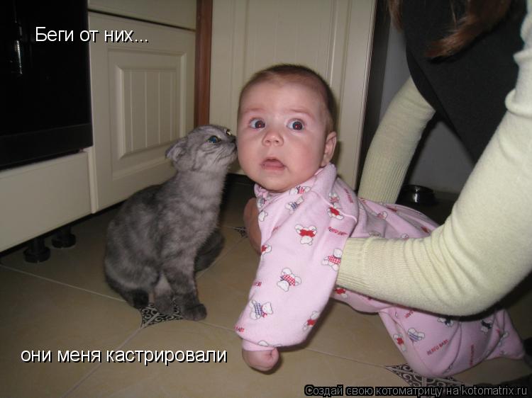 Беги от них... они меня кастрировали... Котоматрица: Беги от них... они меня кастрировали