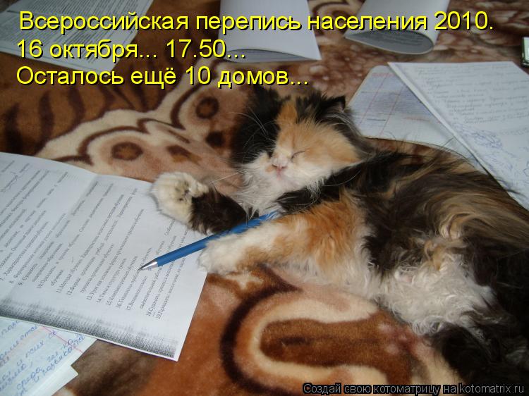 Всероссийская перепись населения 2010. 16 октября... 17.50... Осталось ещё 10 домов...... Котоматрица: Всероссийская перепись населения 2010. 16 октября... 17.50... Осталось ещё 10 домов...