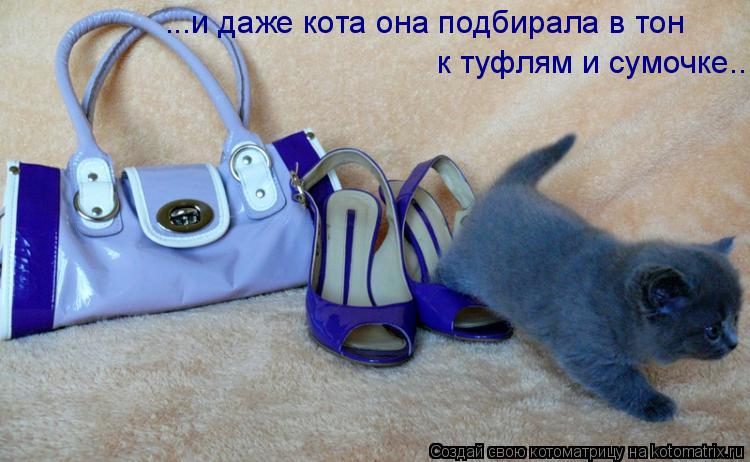 ...и даже кота она подбирала в тон к туфлям и сумочке..... Котоматрица: ...и даже кота она подбирала в тон к туфлям и сумочке..