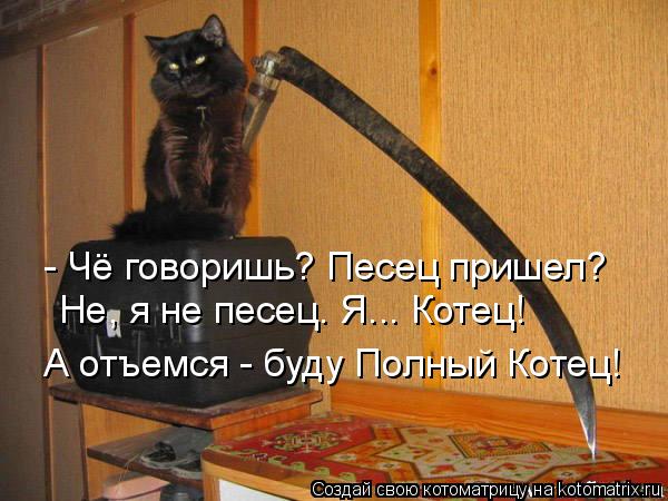 - Чё говоришь? Песец пришел? Не, я не песец. Я... Котец! А отъемся - буду Полный Котец!... Котоматрица: - Чё говоришь? Песец пришел? Не, я не песец. Я... Котец! А отъемся - буду Полный Котец!