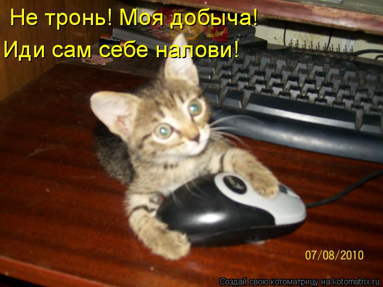 Не тронь! Моя добыча! Иди сам себе налови!... Котоматрица: Не тронь! Моя добыча! Иди сам себе налови!