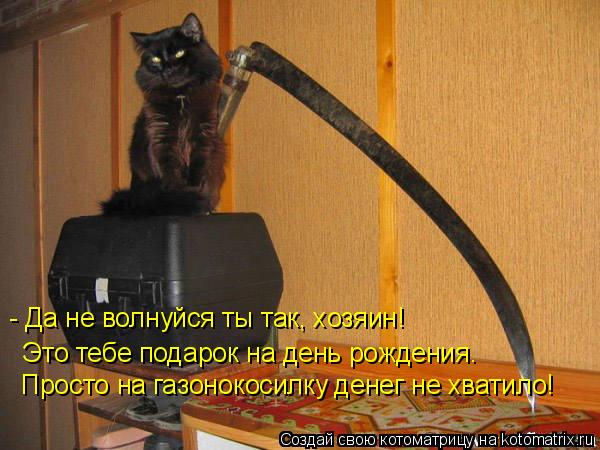 - Да не волнуйся ты так, хозяин! Это тебе подарок на день рождения. Просто на газонокосилку денег не ... Котоматрица: - Да не волнуйся ты так, хозяин! Это тебе подарок на день рождения. Просто на газонокосилку денег не хватило!