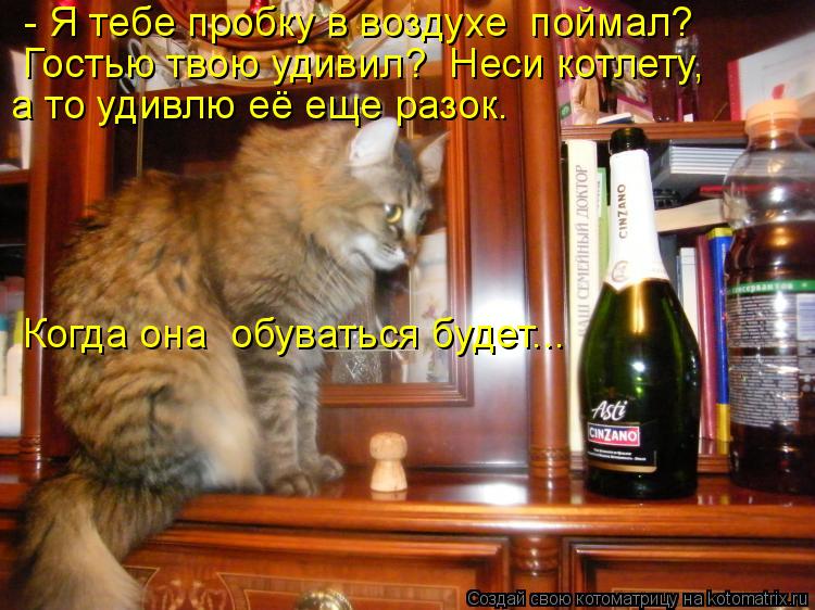- Я тебе пробку в воздухе поймал? Гостью твою удивил? Неси котлету, а то удивлю её еще разок. Ко... Котоматрица: - Я тебе пробку в воздухе поймал? Гостью твою удивил? Неси котлету, а то удивлю её еще разок. Когда она обуваться будет...