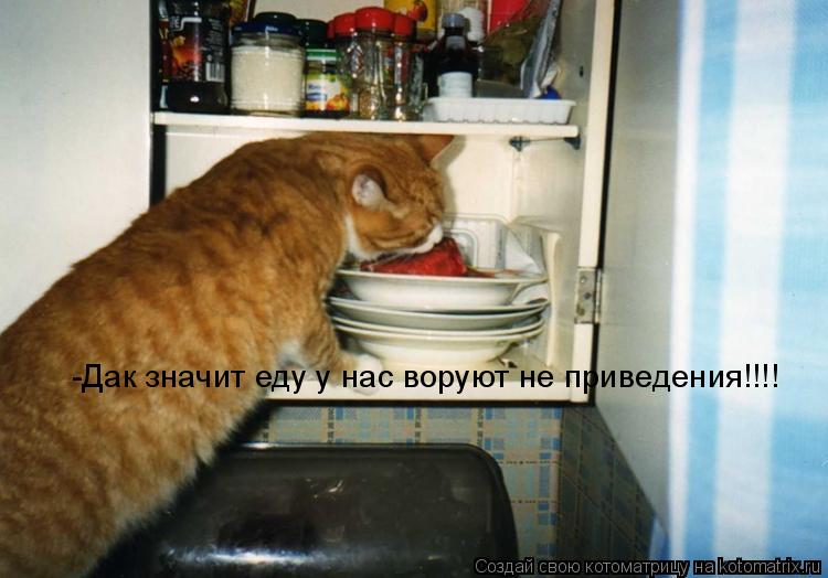 -Дак значит еду у нас воруют не приведения!!!!... Котоматрица: -Дак значит еду у нас воруют не приведения!!!!