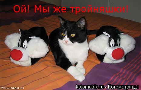 Ой! Мы же тройняшки!... Котоматрица: Ой! Мы же тройняшки!