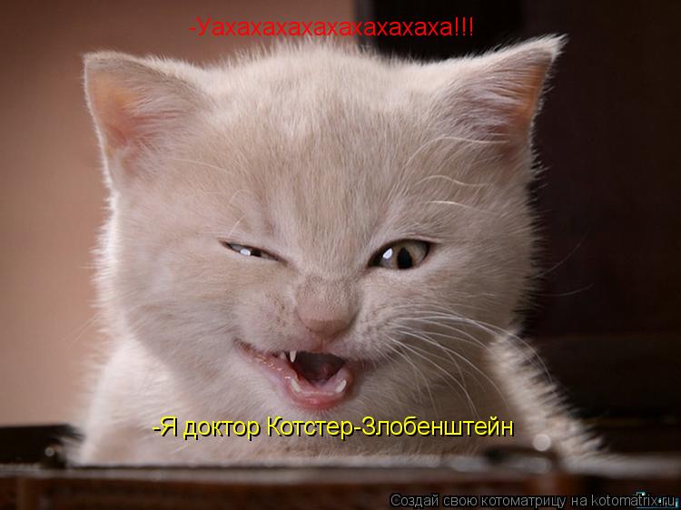 -Уахахахахахахахахаха!!! -Я доктор Котстер-Злобенштейн... Котоматрица: -Уахахахахахахахахаха!!! -Я доктор Котстер-Злобенштейн