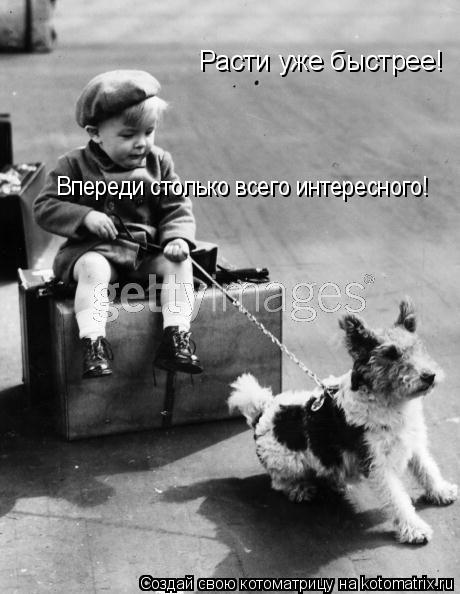 Расти уже быстрее! Впереди столько всего интересного!... Котоматрица: Расти уже быстрее! Впереди столько всего интересного!
