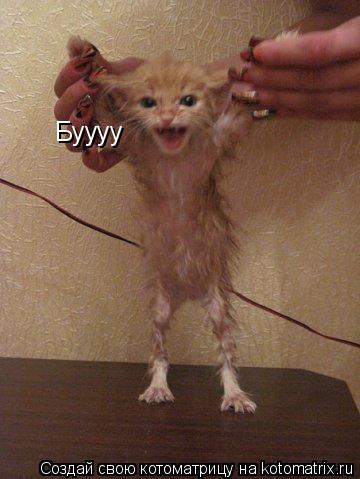 Буууу... Котоматрица: Буууу