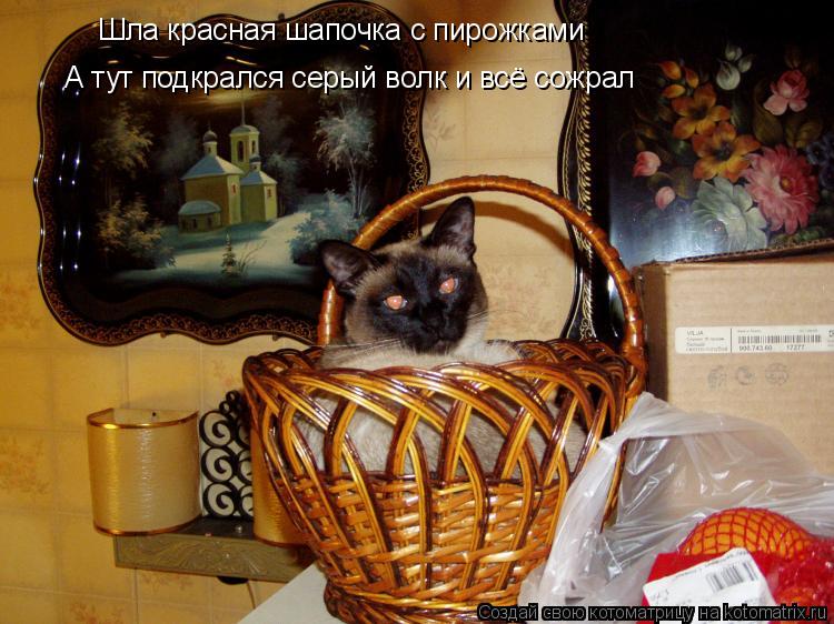 Шла красная шапочка с пирожками А тут подкрался серый волк и всё сожрал... Котоматрица: Шла красная шапочка с пирожками А тут подкрался серый волк и всё сожрал
