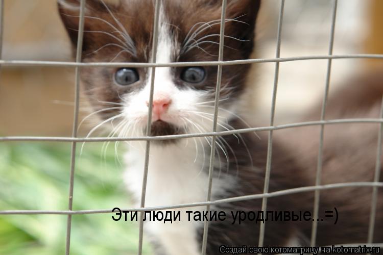 Эти люди такие уродливые...=)... Котоматрица: Эти люди такие уродливые...=)