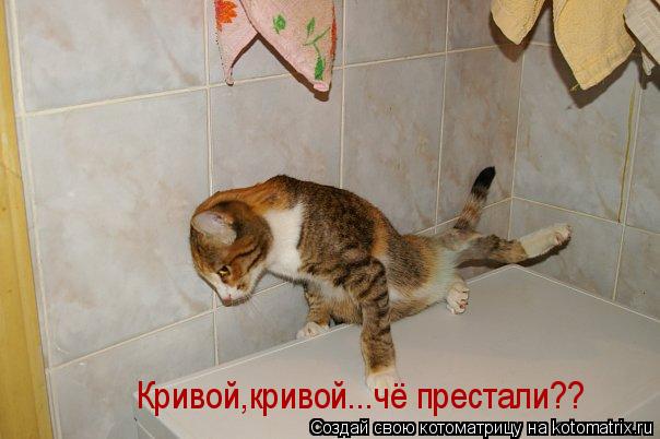 Кривой,кривой...чё престали??... Котоматрица: Кривой,кривой...чё престали??