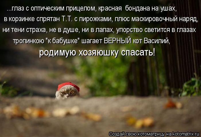 ...глаз с оптическим прицелом, красная бондана на ушах, в корзинке спрятан Т.Т. с пирожками, плюс м... Котоматрица: ...глаз с оптическим прицелом, красная бондана на ушах, в корзинке спрятан Т.Т. с пирожками, плюс маскировочный наряд, ни тени страха, не в ду