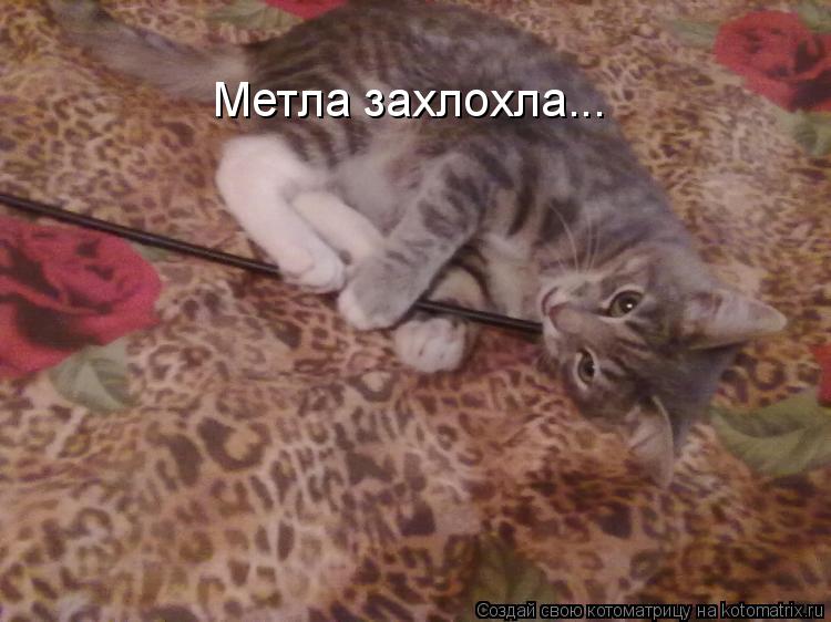 Метла захлохла...... Котоматрица: Метла захлохла...