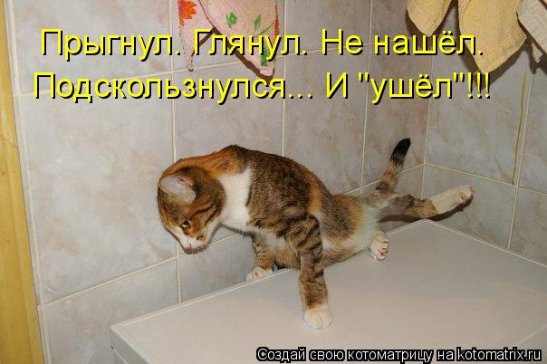 Прыгнул. Глянул. Не нашёл. Подскользнулся... И "ушёл"!!!... Котоматрица: Прыгнул. Глянул. Не нашёл. Подскользнулся... И "ушёл"!!!