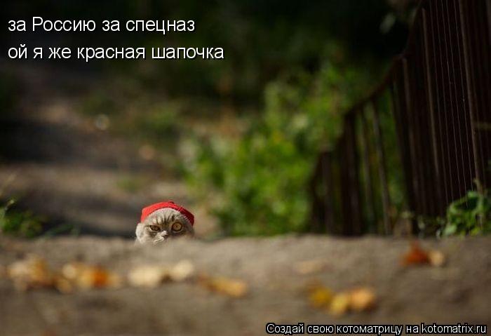 за Россию за спецназ ой я же красная шапочка... Котоматрица: за Россию за спецназ ой я же красная шапочка
