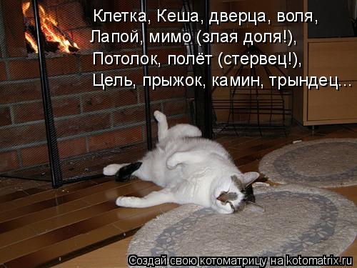 Котоматрица: Клетка, Кеша, дверца, воля, Потолок, полёт (стервец!), Цель, прыжок, камин, трындец... Лапой, мимо (злая доля!),