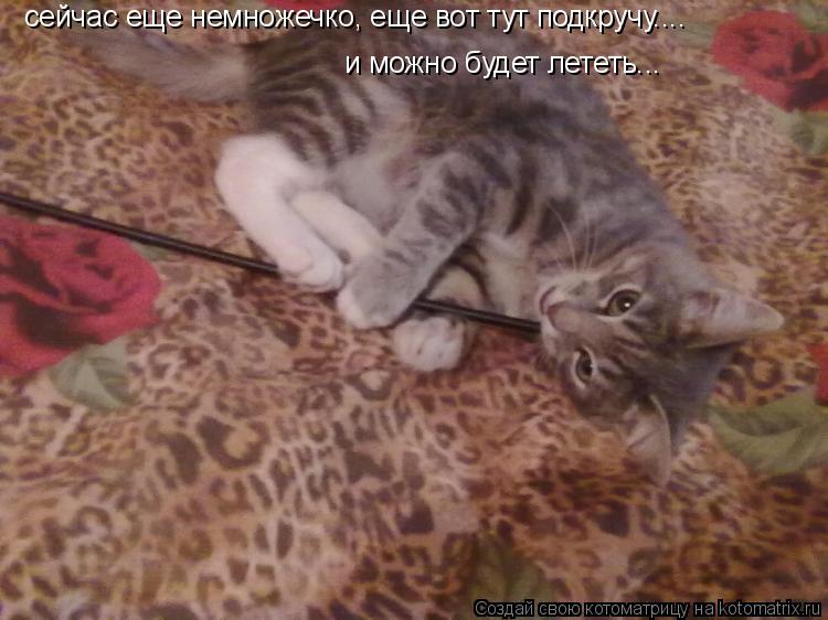 сейчас еще немножечко, еще вот тут подкручу.... и можно будет лететь...... Котоматрица: сейчас еще немножечко, еще вот тут подкручу.... и можно будет лететь...