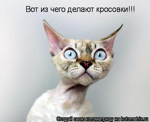 Вот из чего делают кросовки!!! Вот из чего делают кросовки!!!... Котоматрица: Вот из чего делают кросовки!!! Вот из чего делают кросовки!!!